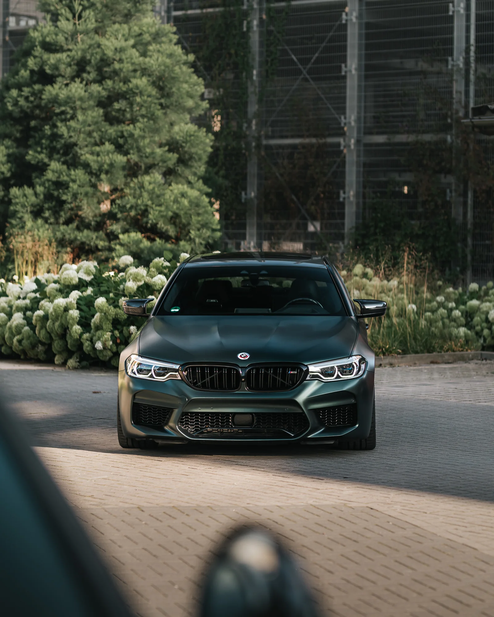 BMW M5 Competition – Fahrzeugfolierung, Ansicht 4