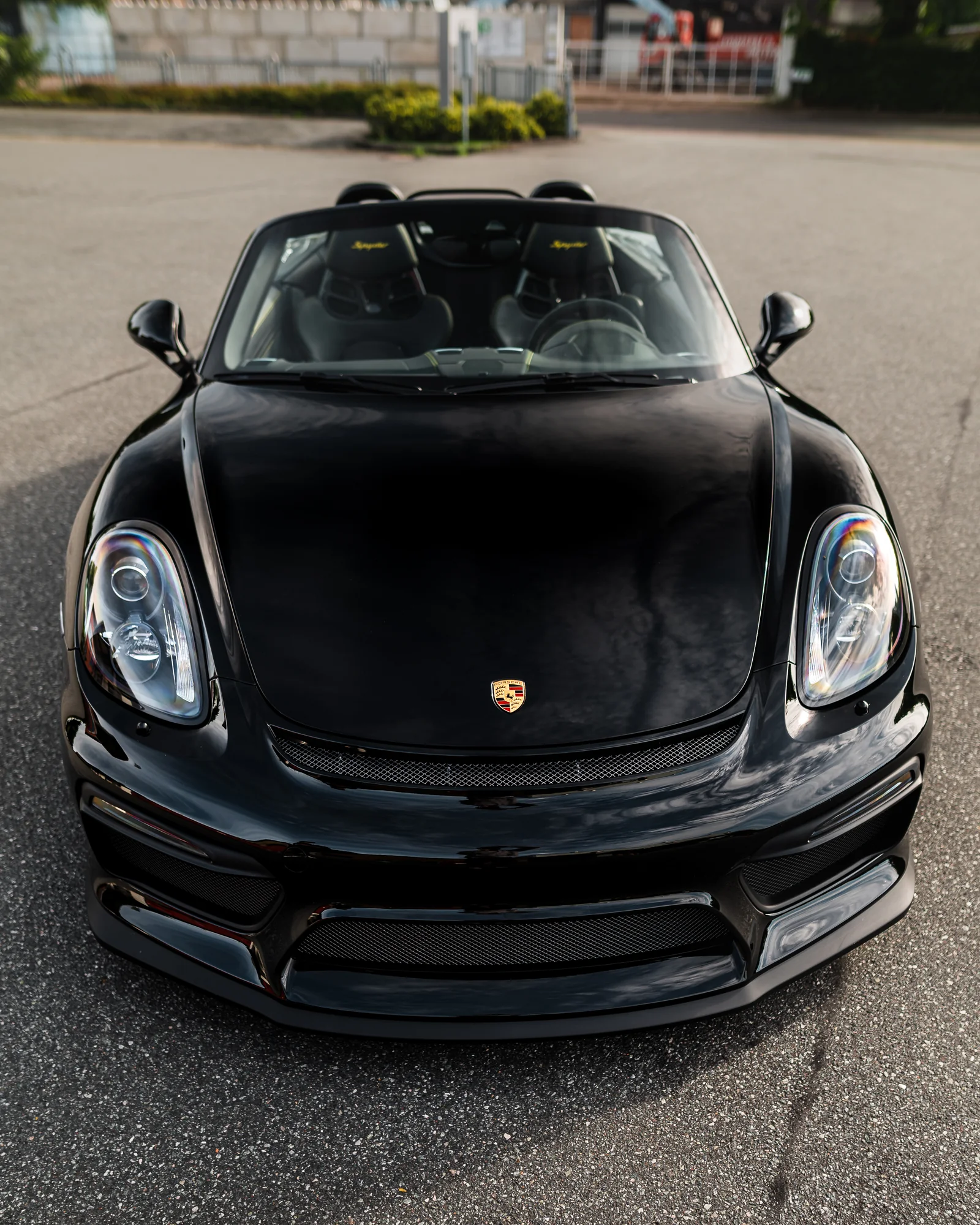 Porsche 981 Spyder – Lackschutz / PPF, Ansicht 4