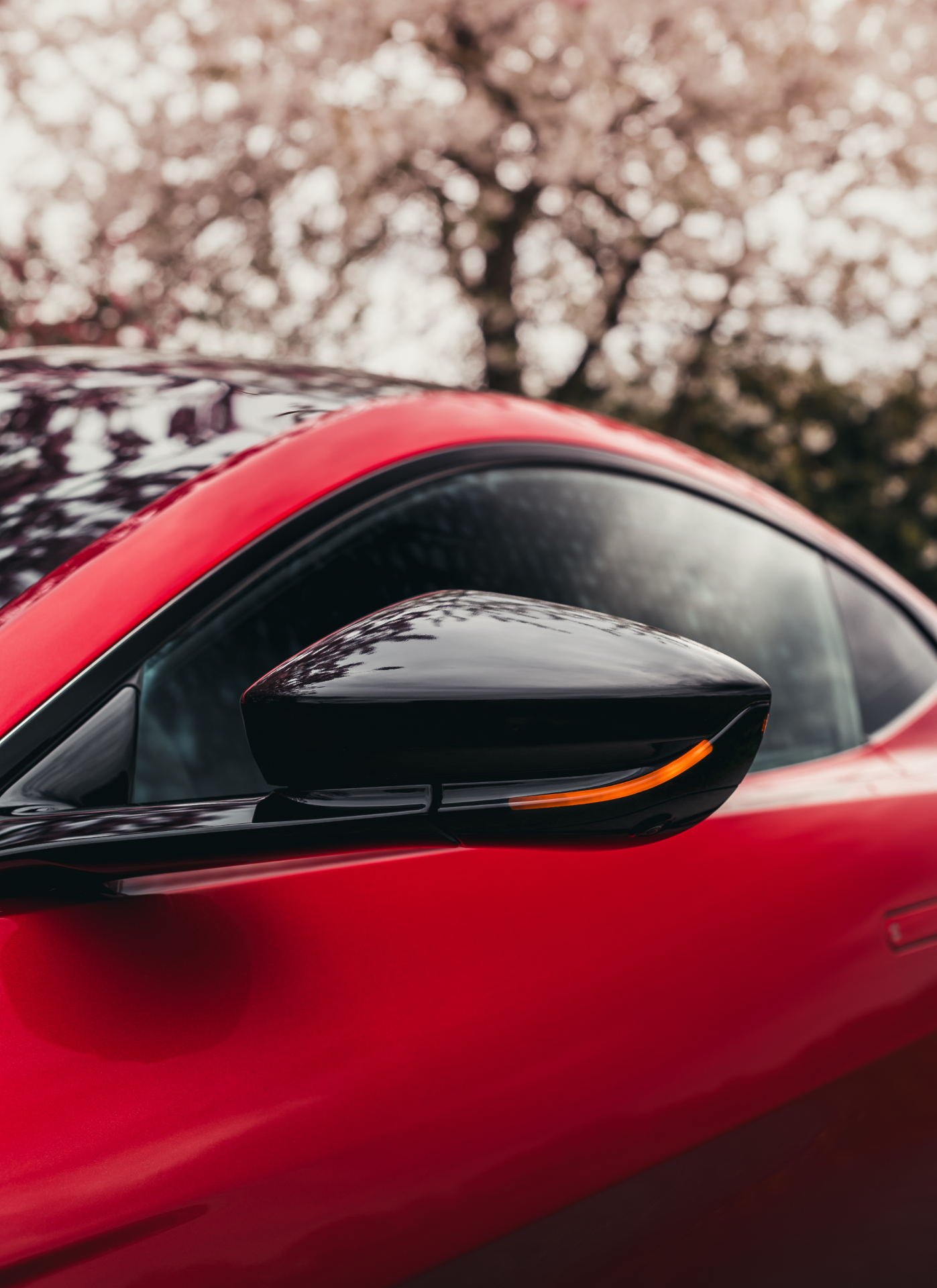 Aston Martin Vantage – Dach und Spiegel in Schwarz